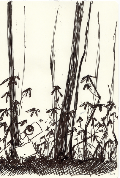 Dog With Mountain Laurel, drawings 1-3